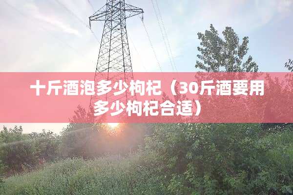 十斤酒泡多少枸杞（30斤酒要用多少枸杞合适）