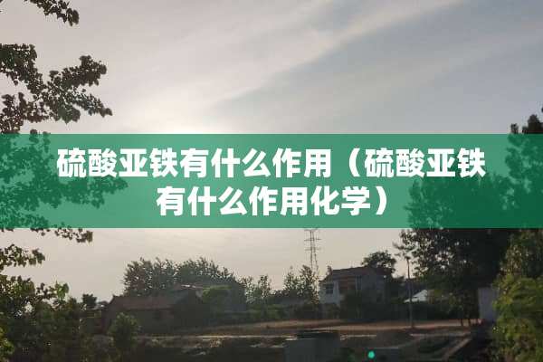 硫酸亚铁有什么作用（硫酸亚铁有什么作用化学）