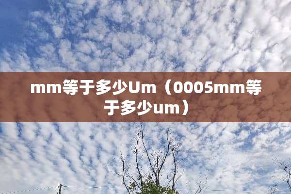 mm等于多少Um（0005mm等于多少um）