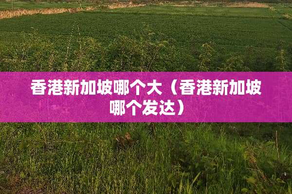 香港新加坡哪个大（香港新加坡哪个发达）