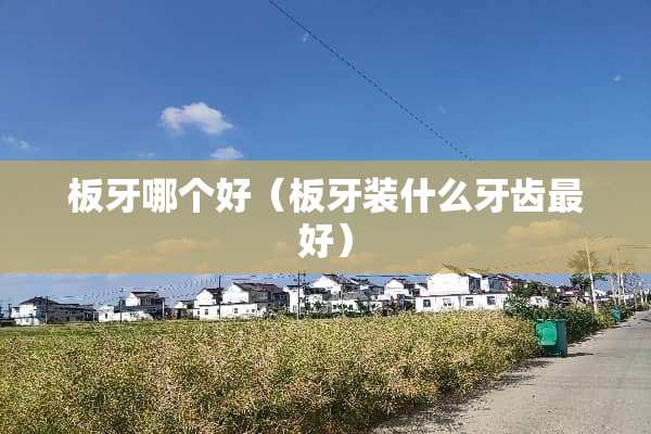 板牙哪个好（板牙装什么牙齿最好）
