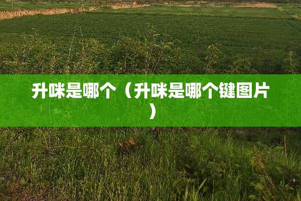 升咪是哪个（升咪是哪个键图片）