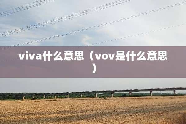viva什么意思（vov是什么意思）