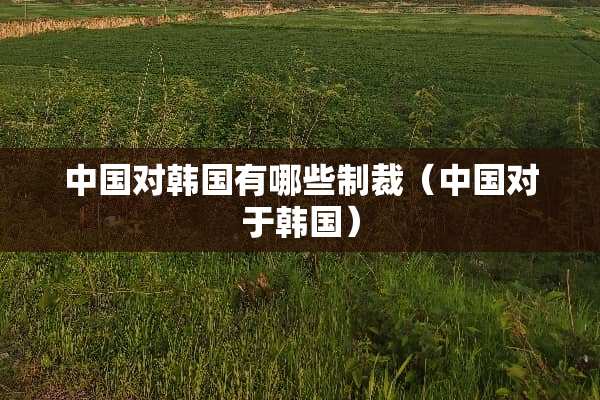 中国对韩国有哪些制裁（中国对于韩国）