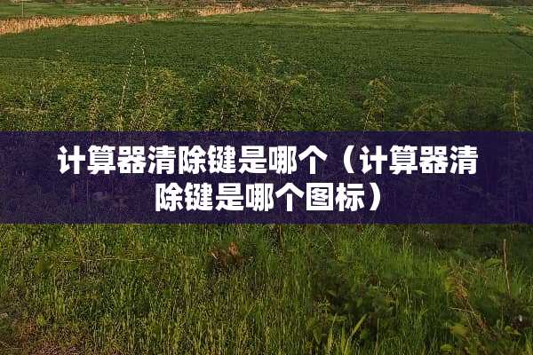 计算器清除键是哪个（计算器清除键是哪个图标）