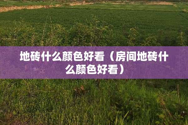 地砖什么颜色好看（房间地砖什么颜色好看）