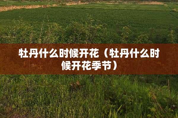 牡丹什么时候开花（牡丹什么时候开花季节）