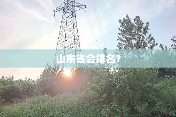 山东省会排名？