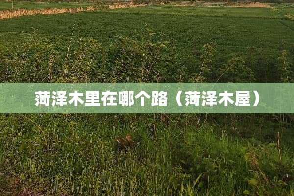 菏泽木里在哪个路（菏泽木屋）