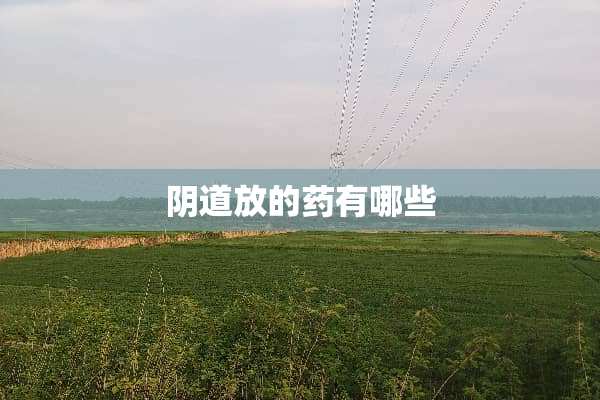 *道放的药有哪些