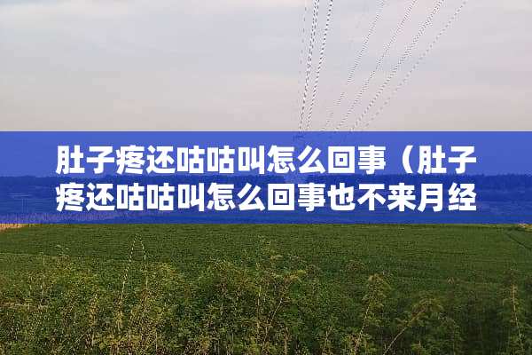肚子疼还咕咕叫怎么回事（肚子疼还咕咕叫怎么回事也不来月经）