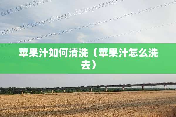 苹果汁如何清洗（苹果汁怎么洗去）