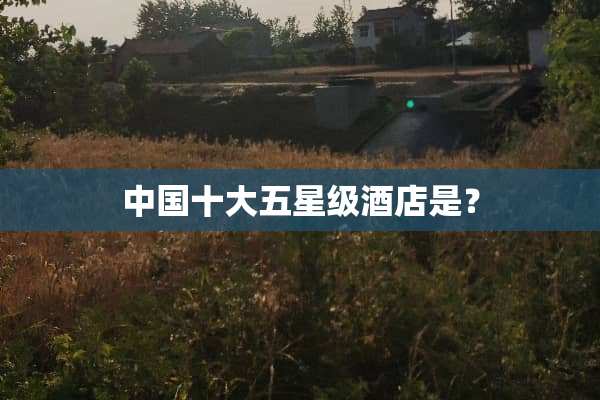 中国十大五星级酒店是？