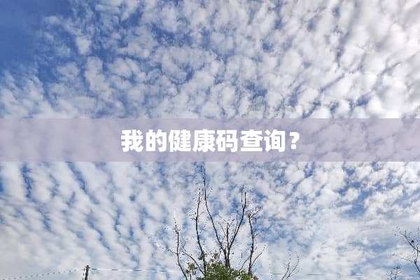我的健康码查询？