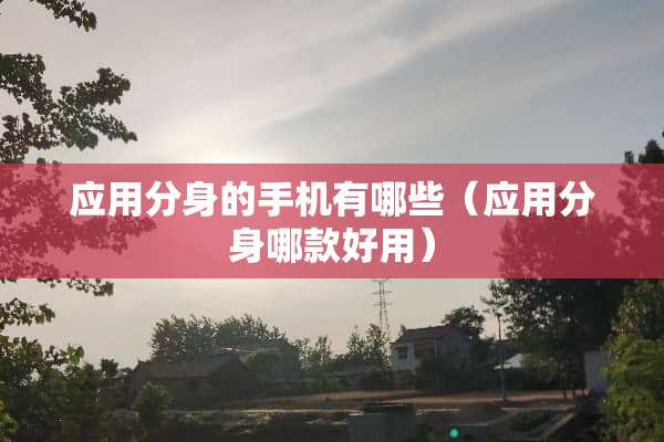 应用分身的手机有哪些（应用分身哪款好用）