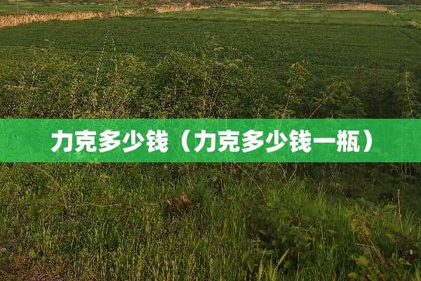 力克多少钱（力克多少钱一瓶）