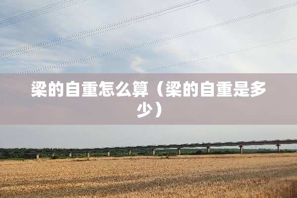 梁的自重怎么算（梁的自重是多少）