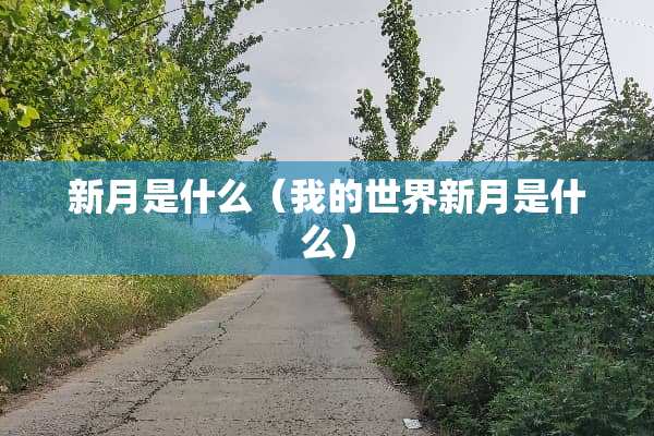 新月是什么（我的世界新月是什么）