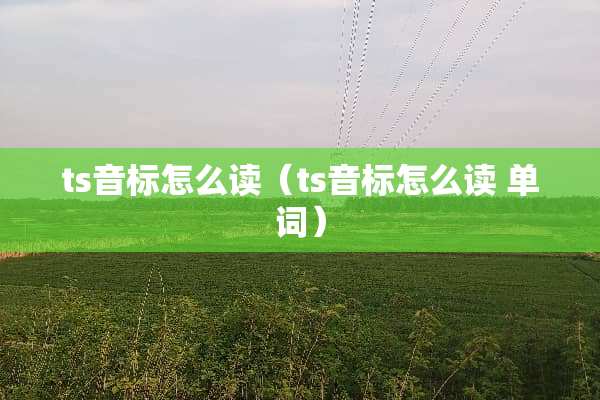 ts音标怎么读（ts音标怎么读 单词）