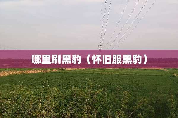 哪里刷黑豹（**服黑豹）