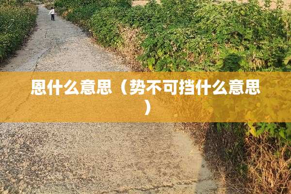 恩什么意思（势不可挡什么意思）