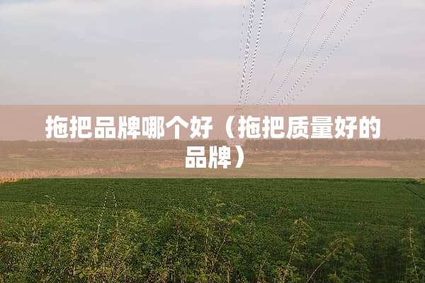 拖把品牌哪个好（拖把质量好的品牌）