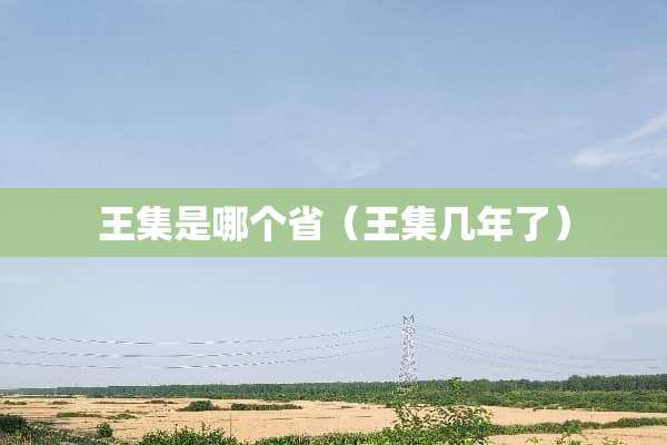 王集是哪个省（王集几年了）
