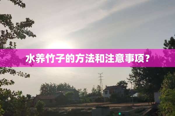 水养竹子的方法和注意事项？