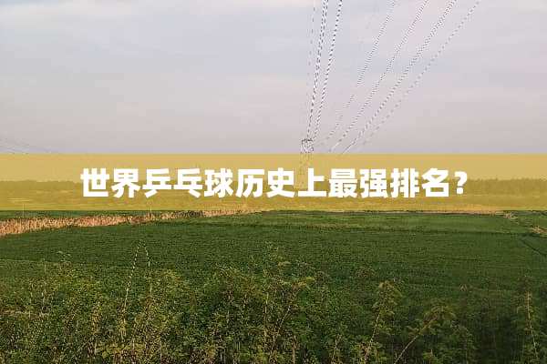 世界乒乓球历史上最强排名？