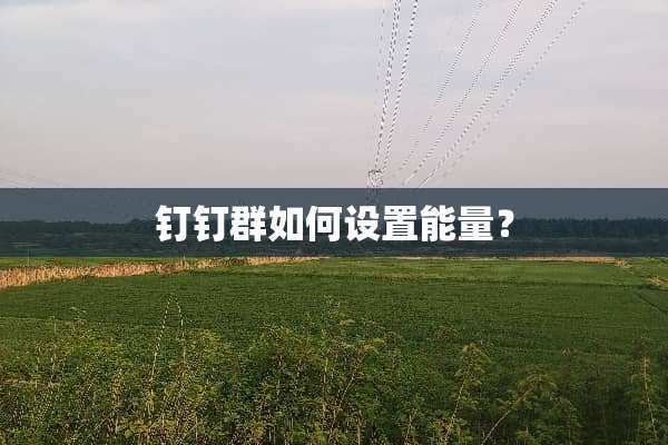 钉钉群如何设置能量？