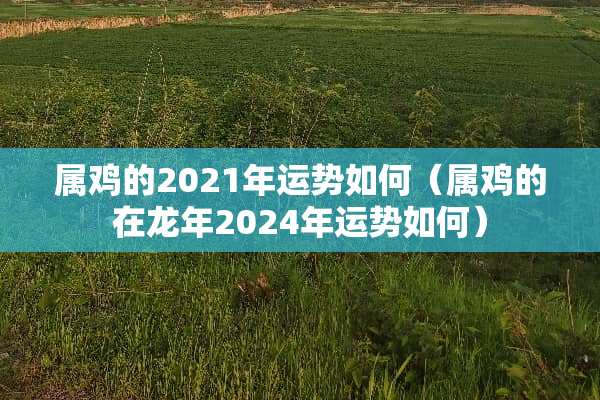 属鸡的2021年运势如何（属鸡的在龙年2024年运势如何）