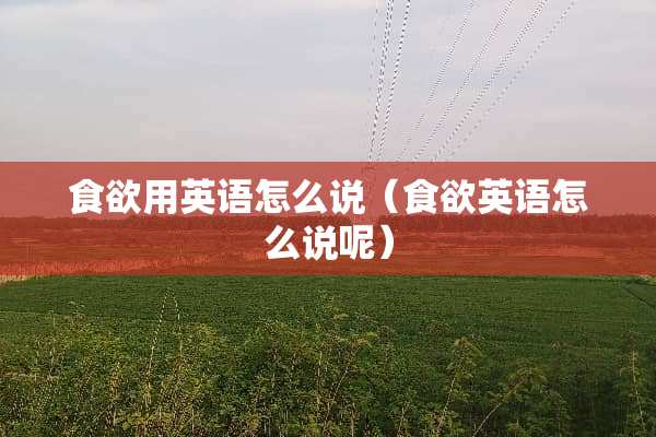 食欲用英语怎么说（食欲英语怎么说呢）
