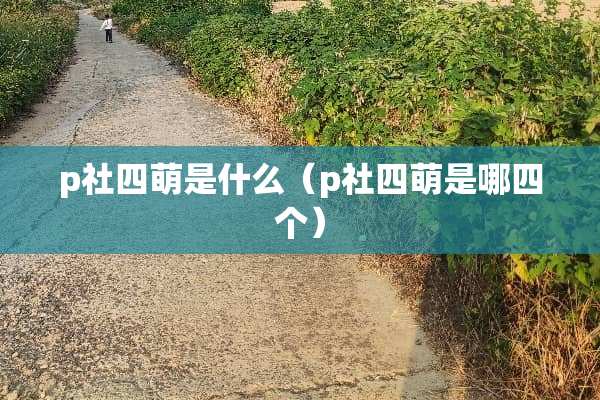 p社四萌是什么（p社四萌是哪四个）