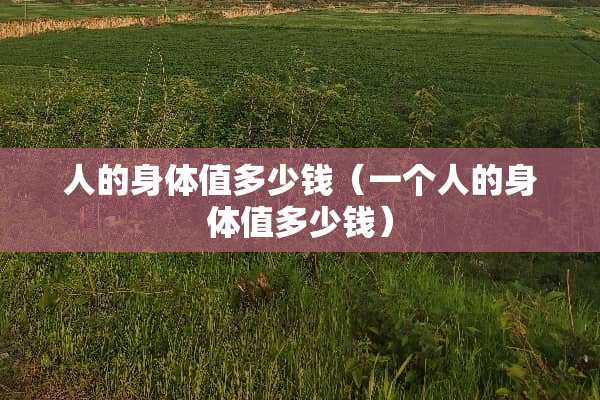 人的身体值多少钱（一个人的身体值多少钱）