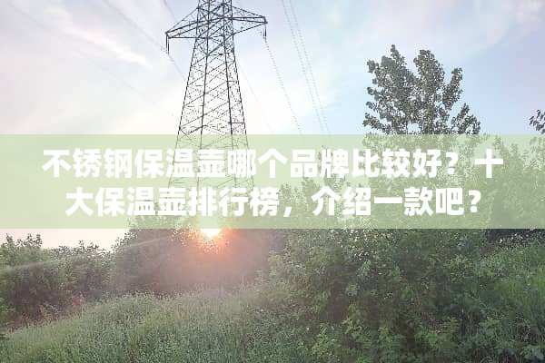 不锈钢保温壶哪个品牌比较好？十大保温壶排行榜，介绍一款吧？