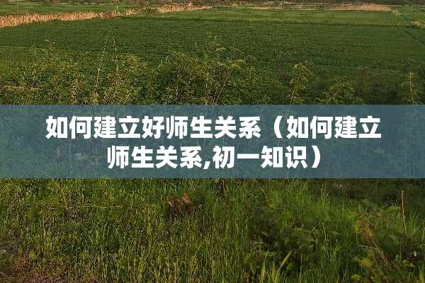 如何建立好师生关系（如何建立师生关系,初一知识）