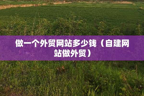 做一个外贸网站多少钱（自建网站做外贸）