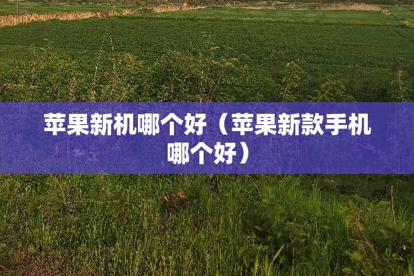 苹果新机哪个好（苹果新款手机哪个好）