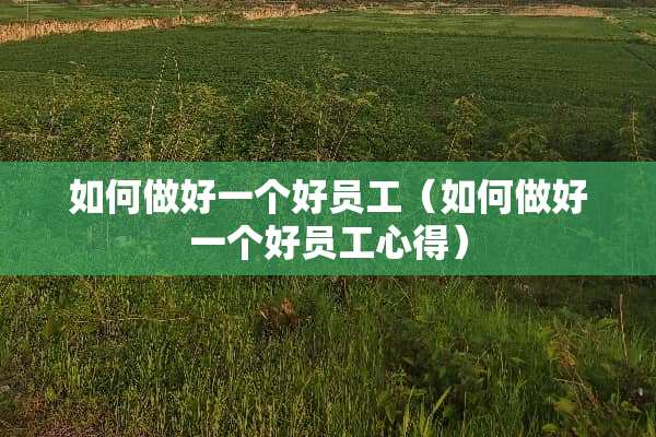 如何做好一个好员工（如何做好一个好员工心得）