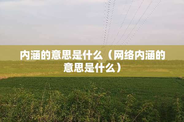 内涵的意思是什么（网络内涵的意思是什么）