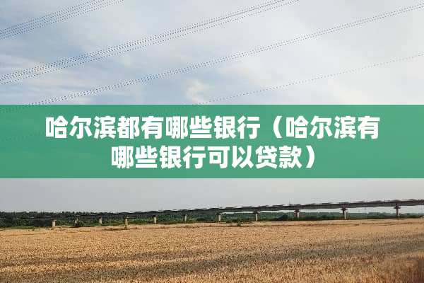 哈尔滨都有哪些银行（哈尔滨有哪些银行可以贷款）
