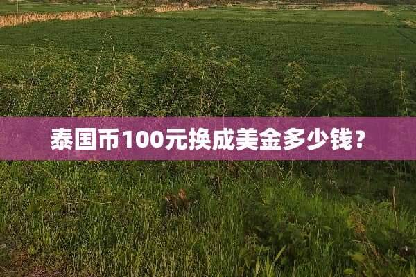 泰国币100元换成美金多少钱？