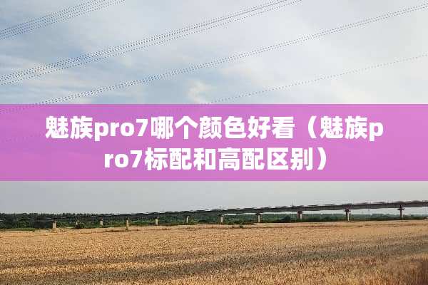 魅族pro7哪个颜色好看（魅族pro7标配和高配区别）