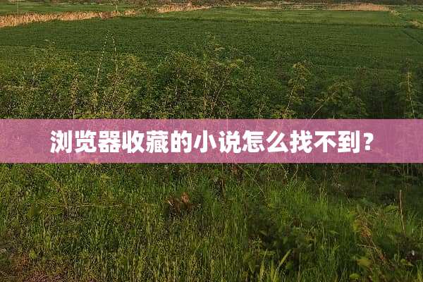 浏览器收藏的小说怎么找不到？