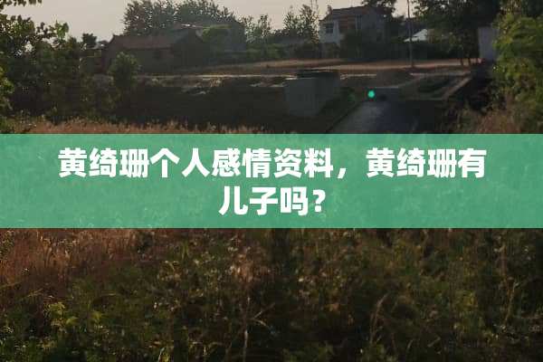 黄绮珊个人感情资料，黄绮珊有儿子吗？