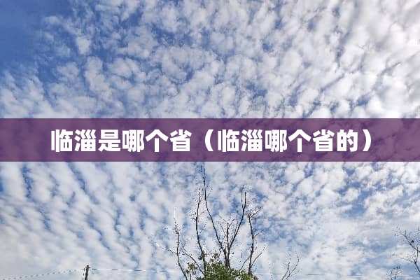 临淄是哪个省（临淄哪个省的）