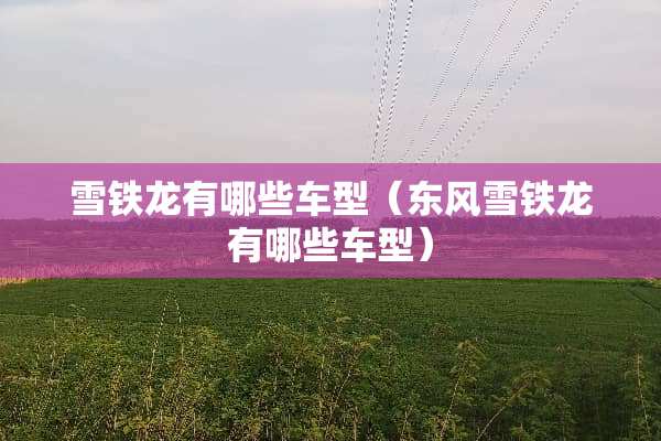 雪铁龙有哪些车型（东风雪铁龙有哪些车型）