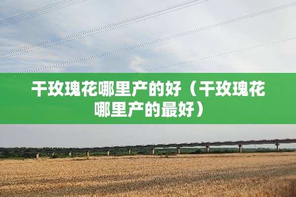 干玫瑰花哪里产的好（干玫瑰花哪里产的最好）