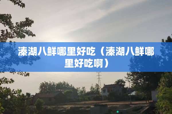 溱湖八鲜哪里好吃（溱湖八鲜哪里好吃啊）