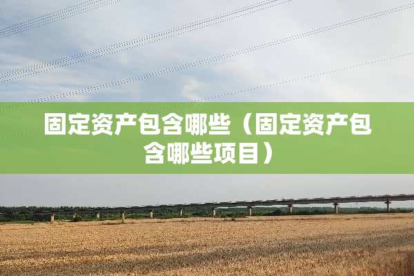 固定资产包含哪些（固定资产包含哪些项目）